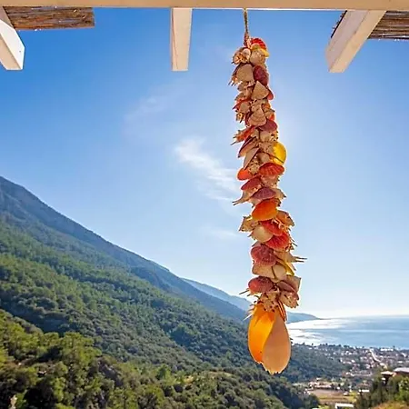 Manzara Non Alcoholic Family Ölüdeniz
